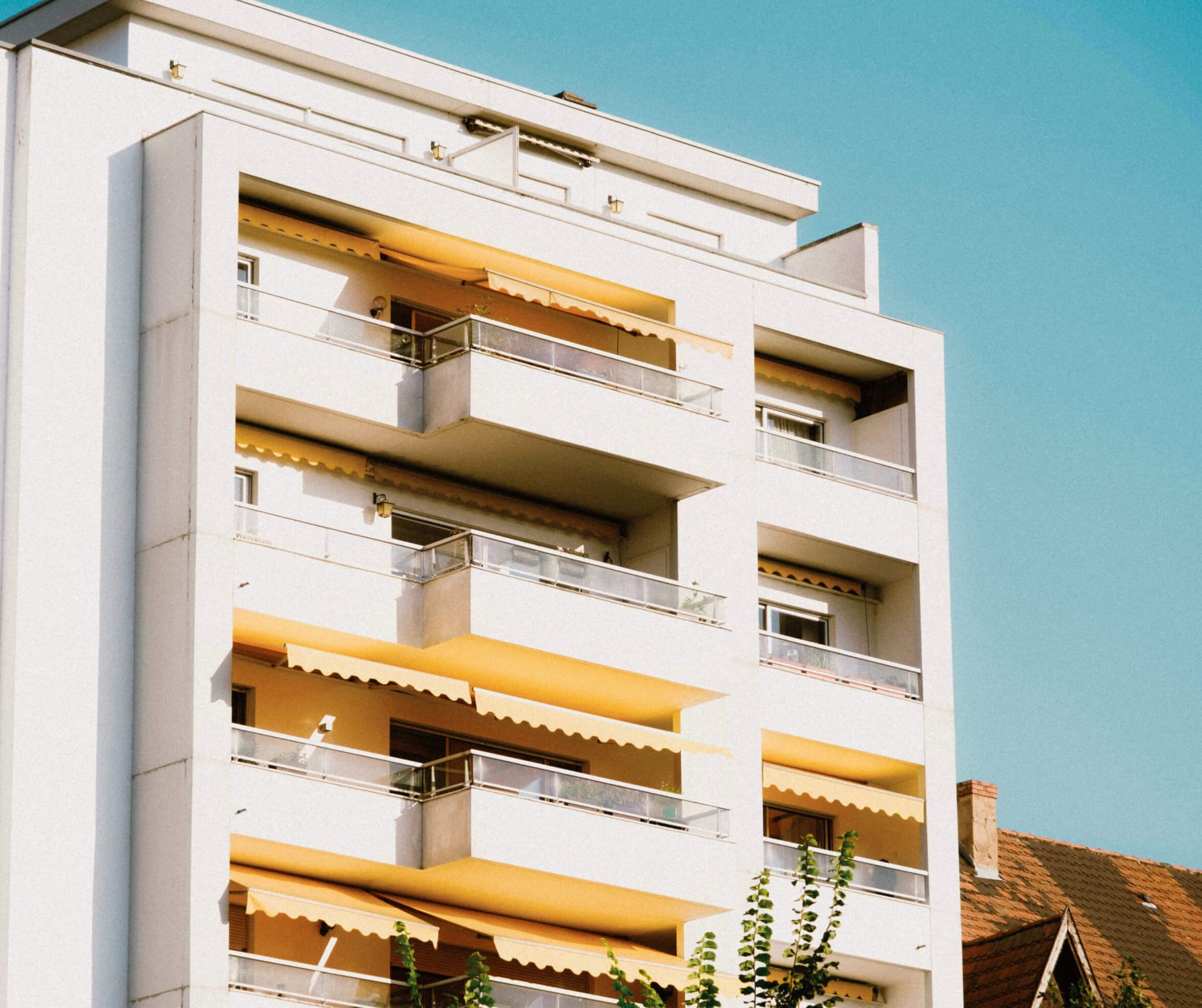 Bula Projects